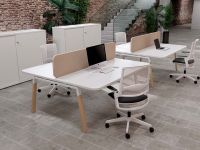 2er Bench mit Eichegestell