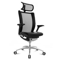 Wagner Titan Limited Chefsessel